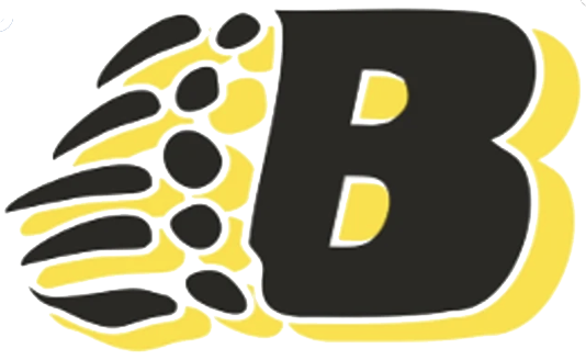 Burns Lake Minor Hockey